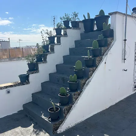 Domus Olea & Opuntia Salento *
