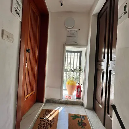 Domus Olea & Opuntia Salento Holiday home *