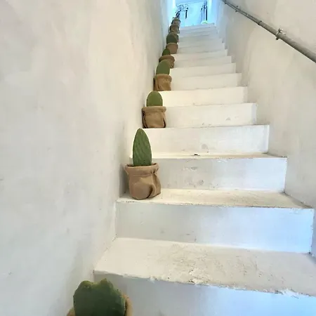 Holiday home Domus Olea & Opuntia Salento *