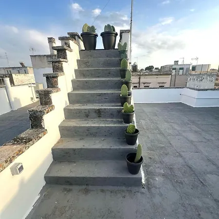 Domus Olea & Opuntia Salento Holiday home Galatone