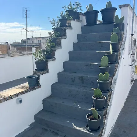 Holiday home Domus Olea & Opuntia Salento *